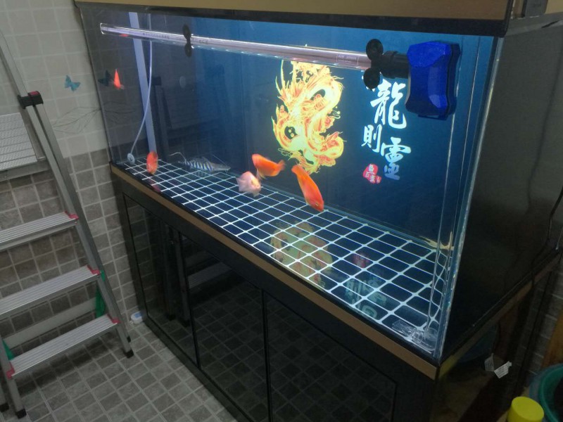 上海渤海 魚缸 家庭辦公室魚缸 魚缸定做