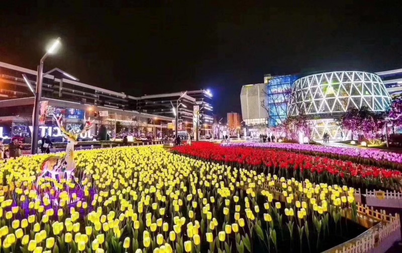 藝術(shù)景觀燈不銹鋼造型燈 夢幻燈光節(jié)出租