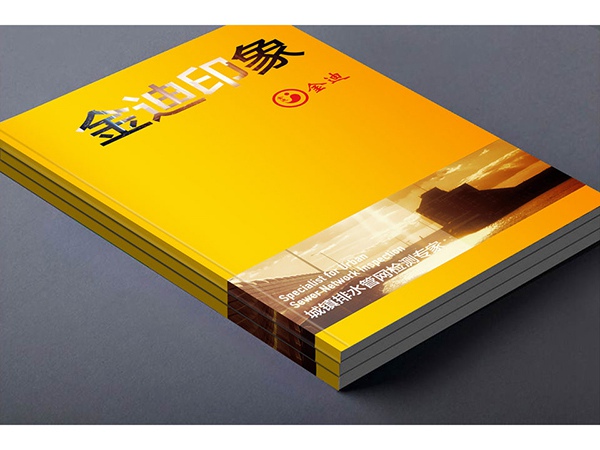 廠家直銷產(chǎn)品宣傳冊 畫冊印刷 精裝圖冊傳單印制設(shè)計