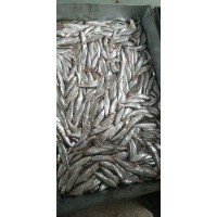 開膛餐條魚