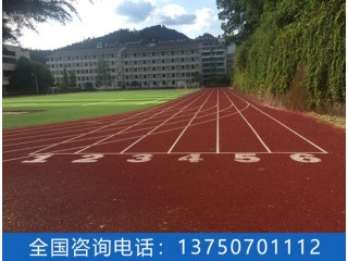 塑膠跑道 塑膠跑道廠家  塑膠跑道價格