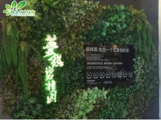 室外專用植物墻   廠家直銷  沈陽仿真植物生產(chǎn)廠家