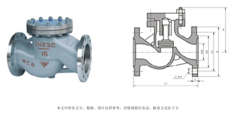 止回閥帶執(zhí)行機構(gòu)07