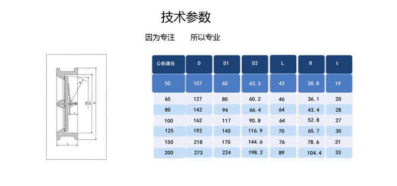 對(duì)夾止回閥05