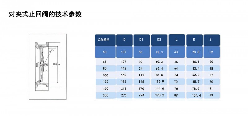 對(duì)夾止回閥10