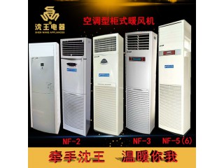 廠家直銷 空調(diào)型電熱暖風(fēng)機(jī) 可定制多規(guī)格電熱風(fēng)幕機(jī)批發(fā)