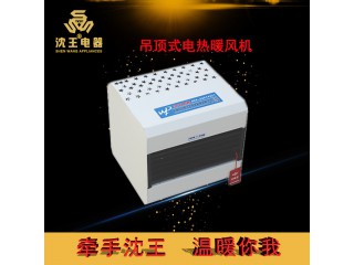 廠家直銷 吊頂式電熱暖風(fēng)機(jī) 可定制多規(guī)格電熱風(fēng)幕機(jī)