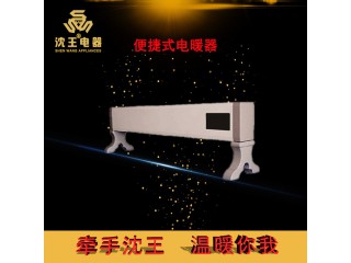 廠家直銷 便捷式電暖器 可定制多規(guī)格電熱風(fēng)幕機(jī)批發(fā)