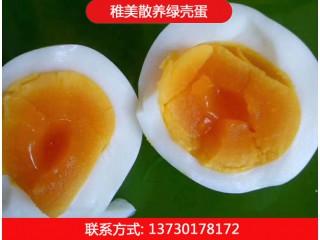 稚美禽業(yè)散養(yǎng)綠殼蛋