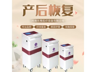 產(chǎn)后康復(fù)治療儀-婦科低頻治療儀