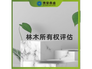 山西省太原市無形資產(chǎn)評(píng)估林木所有權(quán)評(píng)估今日推薦