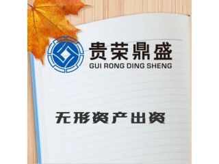 河南省許昌市無形資產(chǎn)出資評估今日新訊